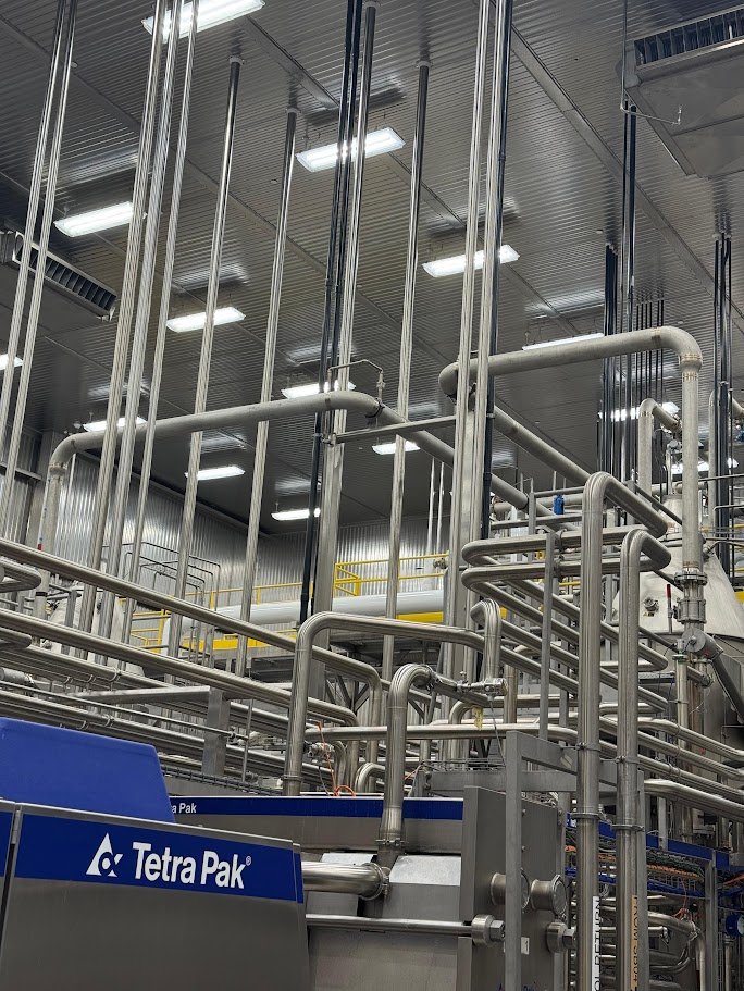 Sanitary process piping systems installation