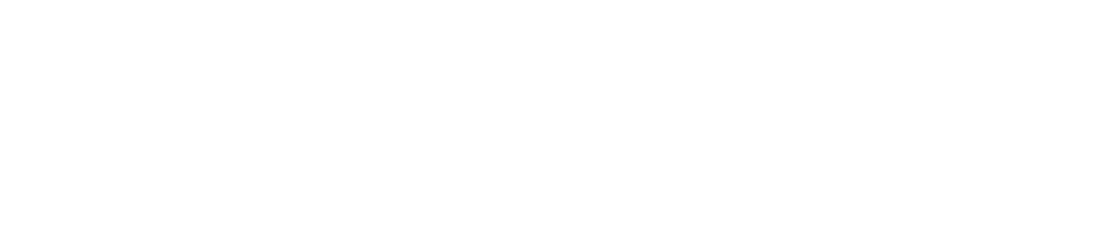 Longhorn Services