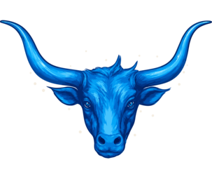 Longhorn Services